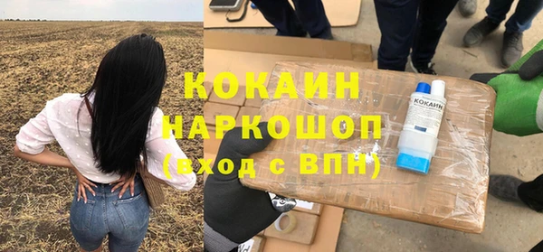 индика Алексеевка