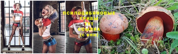 круглые Алексин