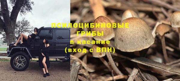 каннабис Абаза