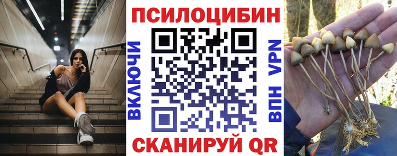 Галлюциногенные грибы Cubensis  Тобольск 